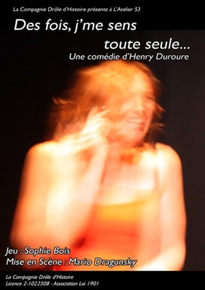 Affiche de Sophie Bois dans Des fois j'me sens toute seule