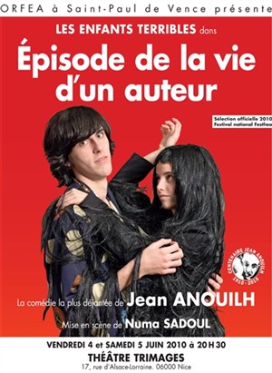 Affiche de Épisode de la vie d'un auteur