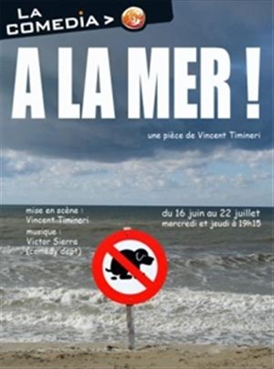 Affiche de A la mer !