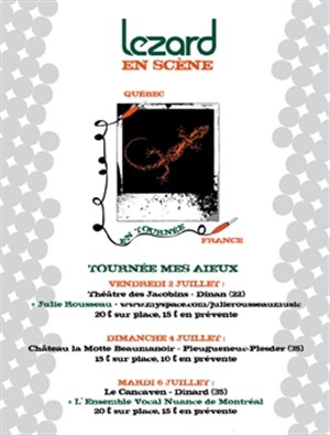 Affiche de Lezard en scène : Mes aieux en Bretagne