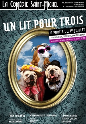 Affiche de Un lit pour 3