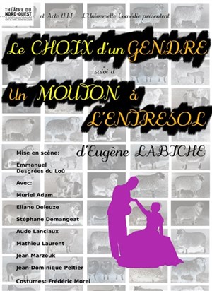 Affiche de Le Choix d'un gendre/Un Mouton à l'entresol