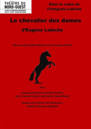Affiche de Le chevalier des dames