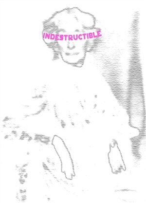 Affiche de L'indestructible Madame Richard Wagner