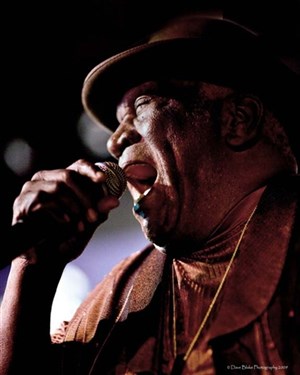 Affiche de Big Pete Pearson & The Gamblers + 1ère partie : Loreney and Yhe sugar strings