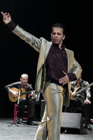 Affiche de Flamenco con alma