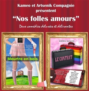 Affiche de Nos folles amours