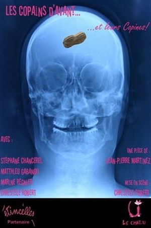 Affiche de Les copains d'avant... et leurs copines
