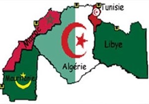 Affiche de Maghreb : Autopsie d'une unité régionale