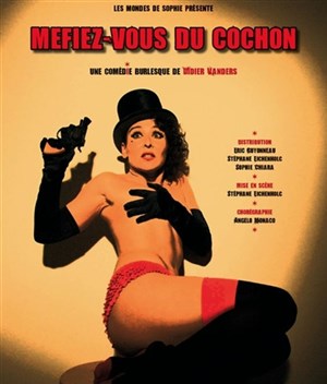 Affiche de Méfiez-vous du cochon...