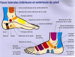 Affiche de Reflexologie plantaire thaïlandaise