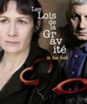 Affiche de Les lois de la gravité