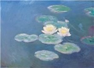 Affiche de Exposition Claude Monet, son musée