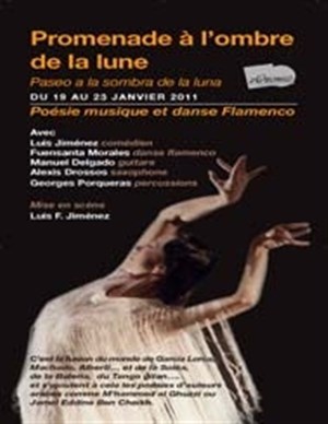 Affiche de Paseo a La Sombra de La Luna