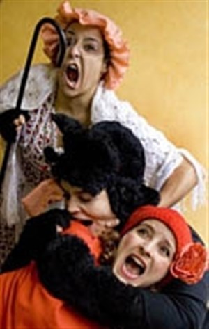 Affiche de Variation chaperon en loup mineur