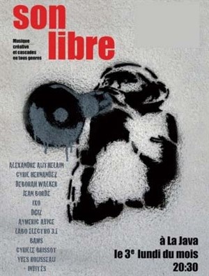 Affiche de Son Libre #2