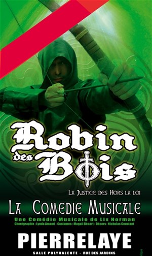 Affiche de Robin des bois, la justice des hors la loi