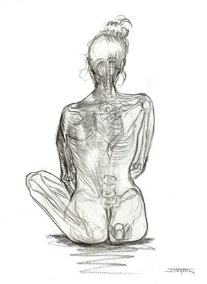 Affiche de Morphologie dessin débutant