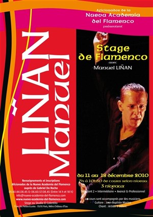 Affiche de Stage de flamenco par Manuel Linan