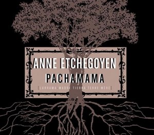 Affiche de Anne Etchegoyen