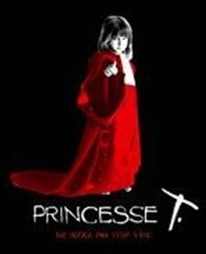 Affiche de Princesse T | Vingtième théatre