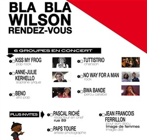 Affiche de Blabla Wilson on TV