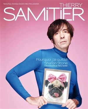 Affiche de Thierry Samitier dans Pourquoi j'ai quitté Sharon Stone
