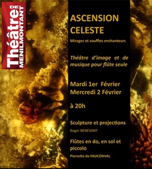 Affiche de Ascension Céleste