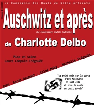 Affiche de Auschwitz et après (une connaissance inutile)