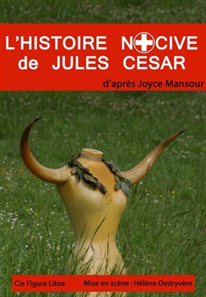 Affiche de L'histoire nocive de Jules César