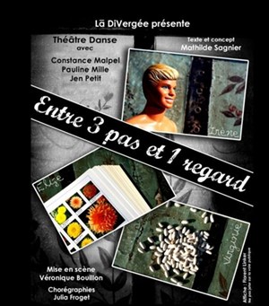 Affiche de Entre 3 pas et 1 regard