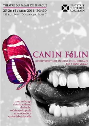 Affiche de Canin félin