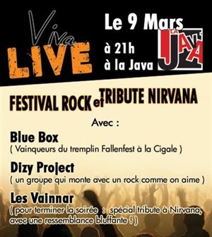 Affiche de Festival Rock  VivaLive et Tribute à Nirvana