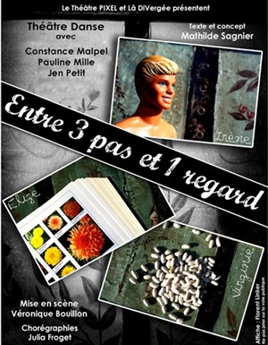 Affiche de Entre 3 pas et 1 regard