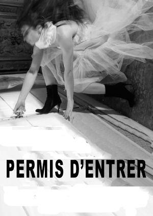 Affiche de Permis d'entrer
