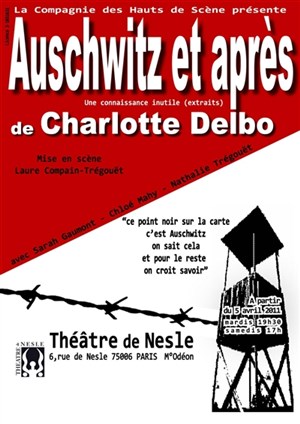 Affiche de Auschwitz et après