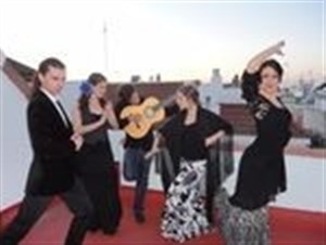 Affiche de Flamenco : chant et danse