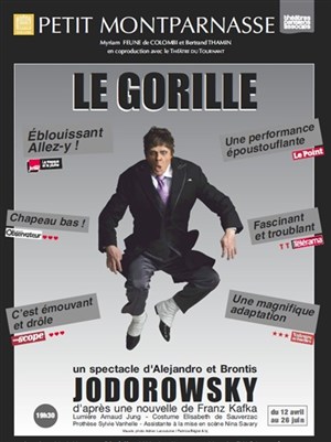 Affiche de Le Gorille