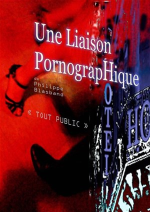 Affiche de Une liaison pornographique