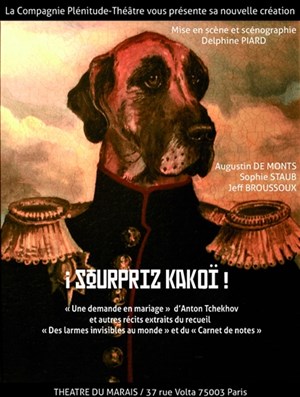 Affiche de ¡ sourpriz kakoï !