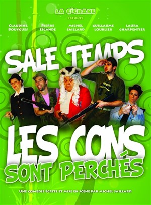 Affiche de Sale temps les cons sont perchés