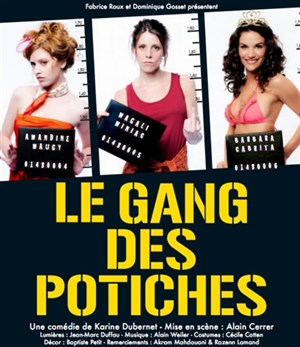 Affiche de Le gang des potiches
