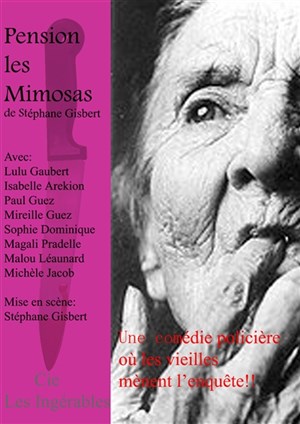 Affiche de Pension Mimosas