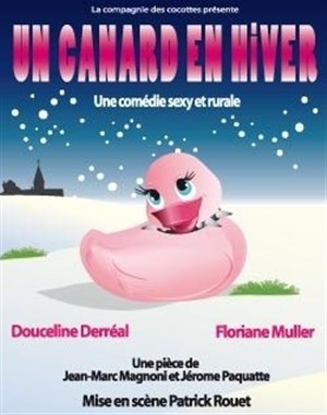Affiche de Un canard en hiver