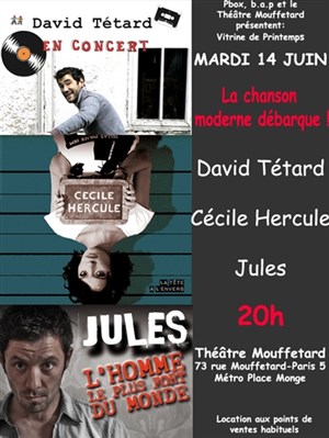 Affiche de David Tétard, Cécile Hercule, Jules