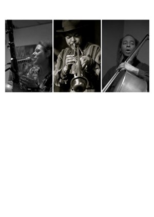 Affiche de Tiphenn trio