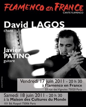 Affiche de Flamenco en France : David Lagos