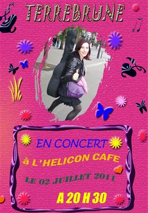 Affiche de Terre Brune