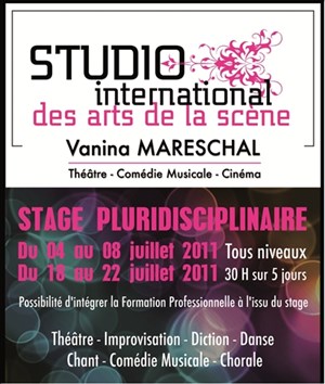 Affiche de Stage pluridisciplinaire