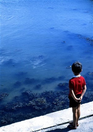 Affiche de Oscar et la dame rose